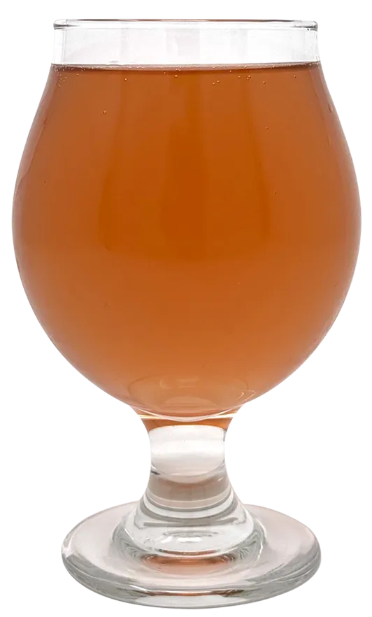 La Bella Sidro Hard Cider tulip glass